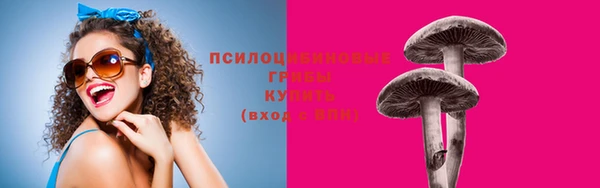 ALPHA PVP Заводоуковск