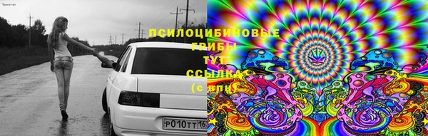 ALPHA PVP Заводоуковск