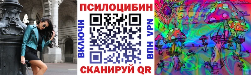 Купить  Чайковский  Галлюциногенные грибы Magic Shrooms 